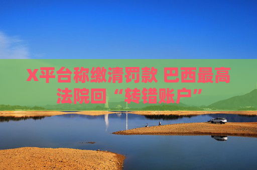 X平台称缴清罚款 巴西最高法院回“转错账户”