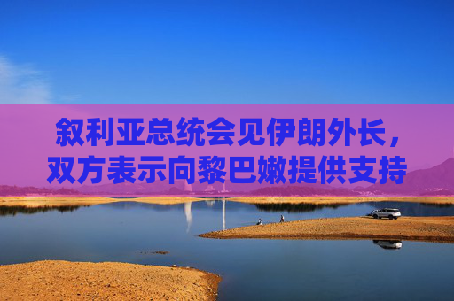 叙利亚总统会见伊朗外长，双方表示向黎巴嫩提供支持和援助