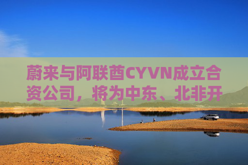 蔚来与阿联酋CYVN成立合资公司，将为中东、北非开发全新车型