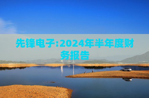 先锋电子:2024年半年度财务报告