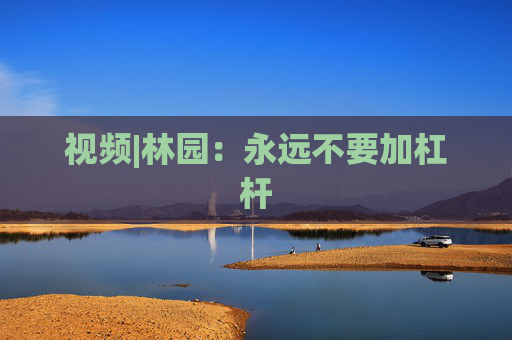 视频|林园：永远不要加杠杆