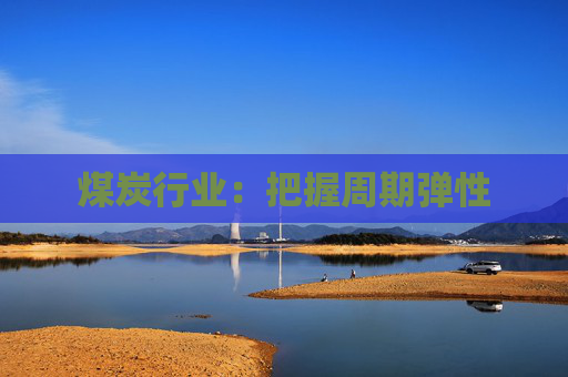 煤炭行业：把握周期弹性