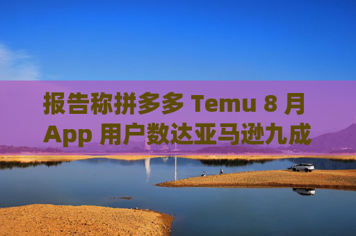 报告称拼多多 Temu 8 月 App 用户数达亚马逊九成，有望年内超越后者