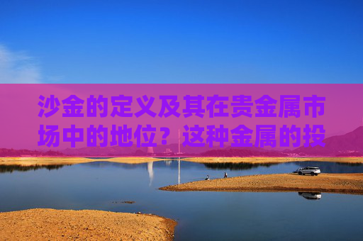 沙金的定义及其在贵金属市场中的地位？这种金属的投资价值和风险有哪些？