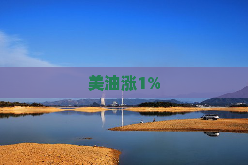 美油涨1%