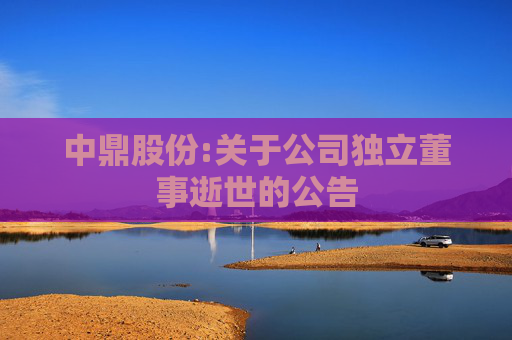 中鼎股份:关于公司独立董事逝世的公告