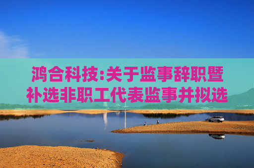 鸿合科技:关于监事辞职暨补选非职工代表监事并拟选举为监事会主席的公告