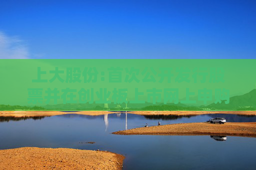 上大股份:首次公开发行股票并在创业板上市网上申购情况及中签率公告