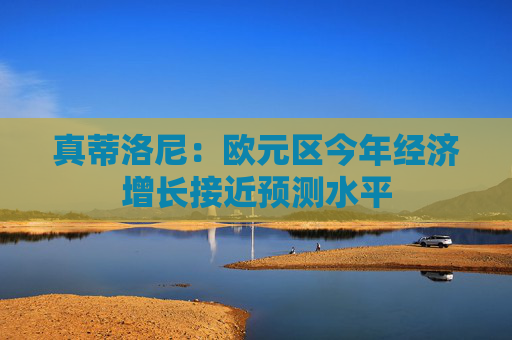 真蒂洛尼：欧元区今年经济增长接近预测水平