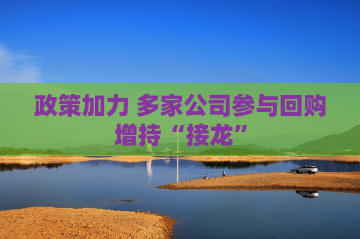 政策加力 多家公司参与回购增持“接龙”