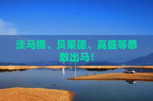 淡马锡、贝莱德、高盛等悉数出马！