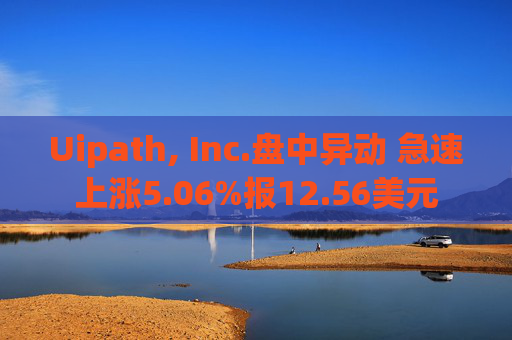 Uipath, Inc.盘中异动 急速上涨5.06%报12.56美元