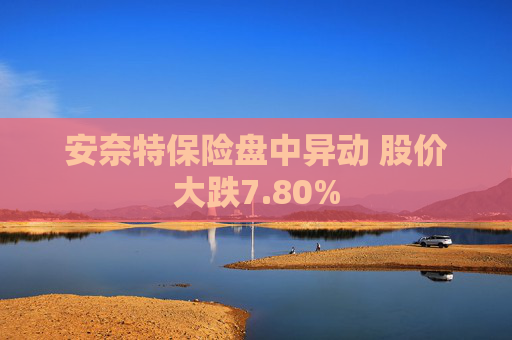 安奈特保险盘中异动 股价大跌7.80%