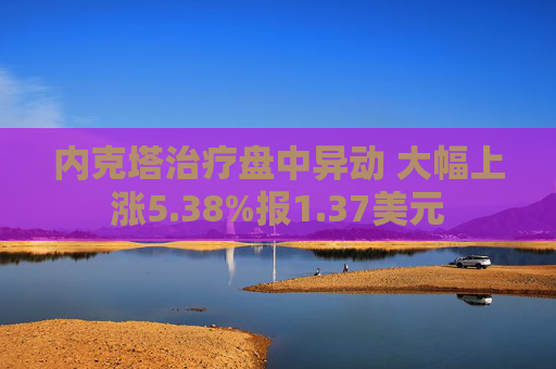 内克塔治疗盘中异动 大幅上涨5.38%报1.37美元