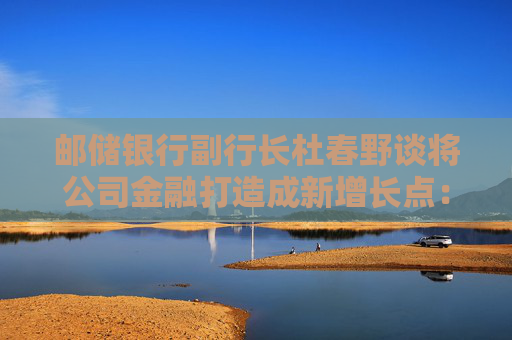 邮储银行副行长杜春野谈将公司金融打造成新增长点：没有一些差异化的打法，目标也只能是镜中花水中月