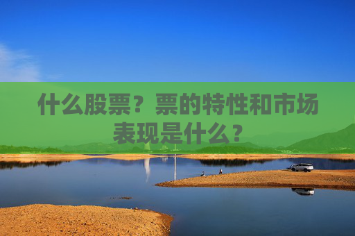 什么股票？票的特性和市场表现是什么？