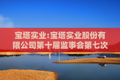 宝塔实业:宝塔实业股份有限公司第十届监事会第七次会议决议公告