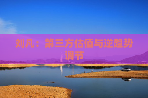 刘凡：第三方估值与逆趋势调节