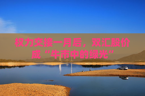 权力交接一月后，双汇股价成“牛市中的绿光”