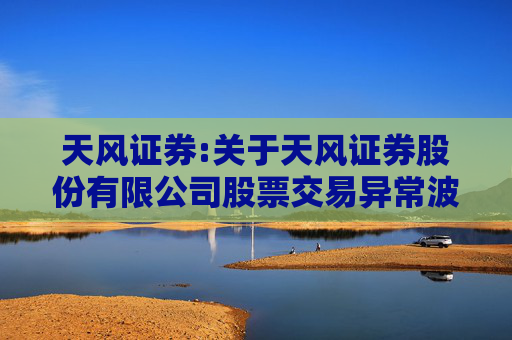 天风证券:关于天风证券股份有限公司股票交易异常波动问询函的回函