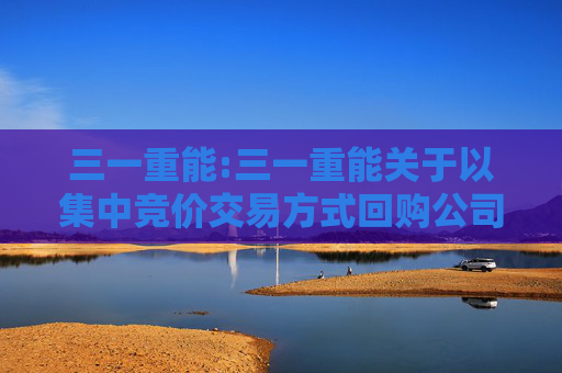 三一重能:三一重能关于以集中竞价交易方式回购公司股份的进展公告