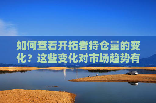 如何查看开拓者持仓量的变化？这些变化对市场趋势有何指示作用？
