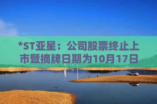 *ST亚星：公司股票终止上市暨摘牌日期为10月17日