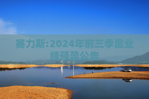 赛力斯:2024年前三季度业绩预盈公告
