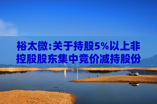 裕太微:关于持股5%以上非控股股东集中竞价减持股份计划的公告