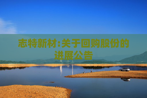 志特新材:关于回购股份的进展公告