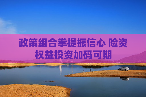 政策组合拳提振信心 险资权益投资加码可期
