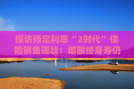 探访预定利率“2时代”保险销售现状：增额终身寿仍是主力，分红型产品上场