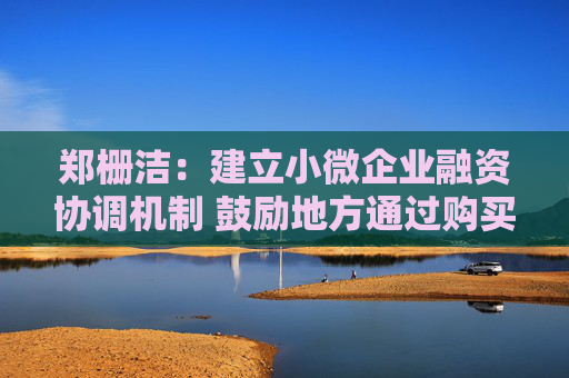 郑栅洁：建立小微企业融资协调机制 鼓励地方通过购买绿电增加可再生能源消费