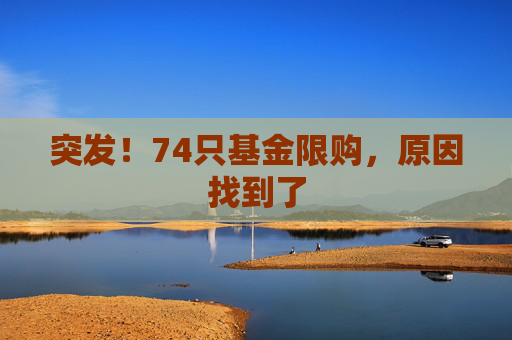 突发！74只基金限购，原因找到了