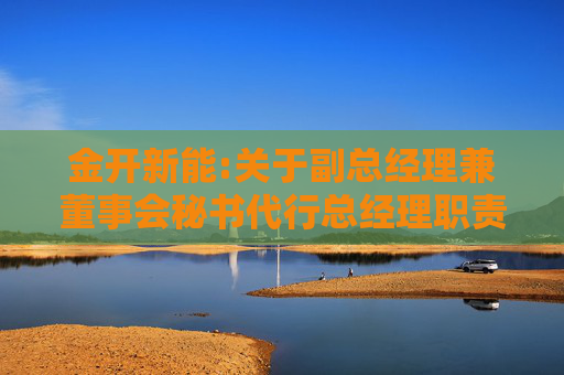 金开新能:关于副总经理兼董事会秘书代行总经理职责的公告
