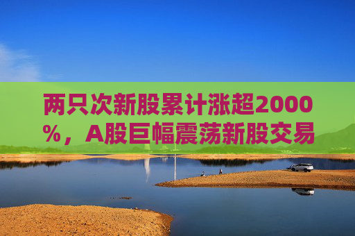 两只次新股累计涨超2000%，A股巨幅震荡新股交易如何参与？