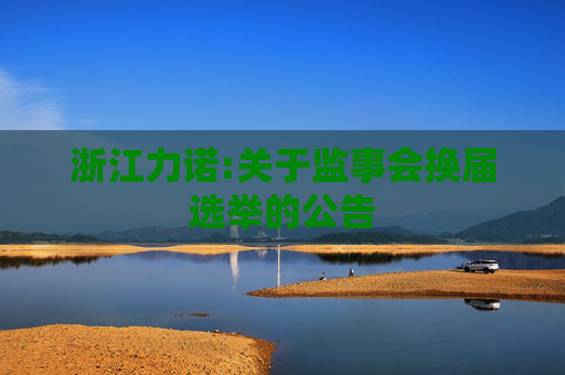 浙江力诺:关于监事会换届选举的公告