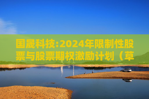 国晟科技:2024年限制性股票与股票期权激励计划（草案）