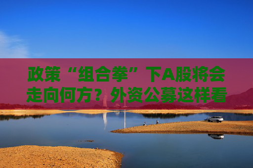 政策“组合拳”下A股将会走向何方？外资公募这样看