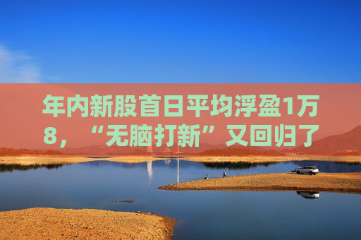 年内新股首日平均浮盈1万8，“无脑打新”又回归了？