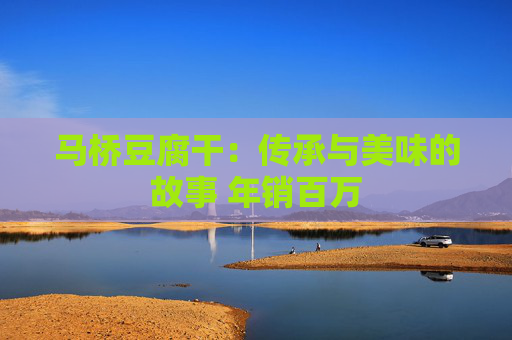 马桥豆腐干:传承与美味的故事 年销百万