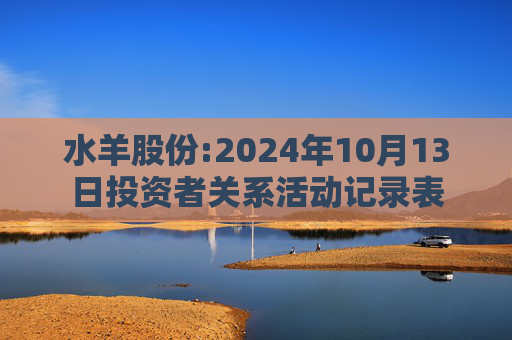 水羊股份:2024年10月13日投资者关系活动记录表