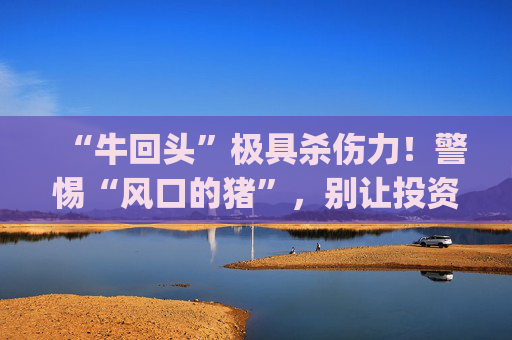 “牛回头”极具杀伤力！警惕“风口的猪”，别让投资心跳成为"投资返贫"！