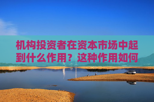 机构投资者在资本市场中起到什么作用？这种作用如何影响市场的稳定性和效率？