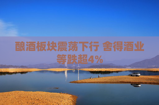 酿酒板块震荡下行 舍得酒业等跌超4%