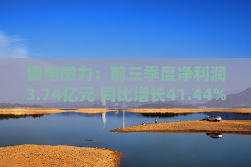 雷电微力：前三季度净利润3.74亿元 同比增长41.44%