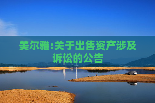 美尔雅:关于出售资产涉及诉讼的公告