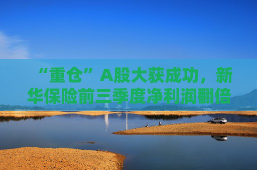 “重仓”A股大获成功，新华保险前三季度净利润翻倍