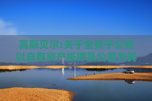 高斯贝尔:关于全资子公司以自有资产抵押及公司为其提供连带责任担保申请银行授信额度的公告