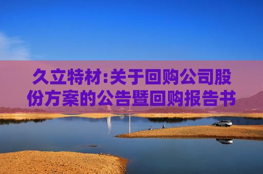 久立特材:关于回购公司股份方案的公告暨回购报告书